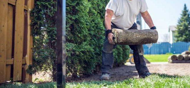How To Determine If Sole Trader Or Company Is The Best Option For Your New Landscaping Business How To Determine If Sole Trader Or Company Is The Best Option For Your New Landscaping Business