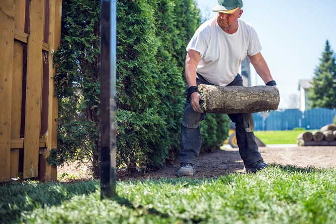 How To Determine If Sole Trader Or Company Is The Best Option For Your New Landscaping Business
